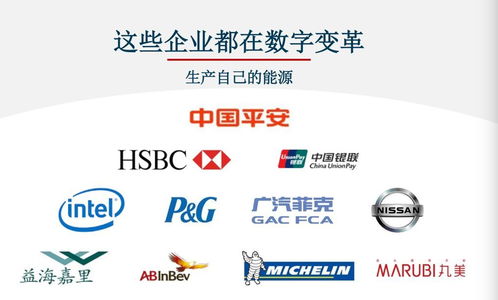 對標Adobe，Nequal如何以數據與技術雙引擎賦能企業智慧商業