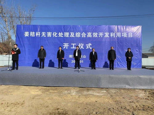 太保莊街道姜秸稈無害化處理及綜合高效開發利用項目開工儀式隆重舉行，開啟農牧業技術開發與服務新篇章